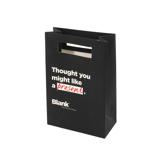 Paper Gift Bag Medium